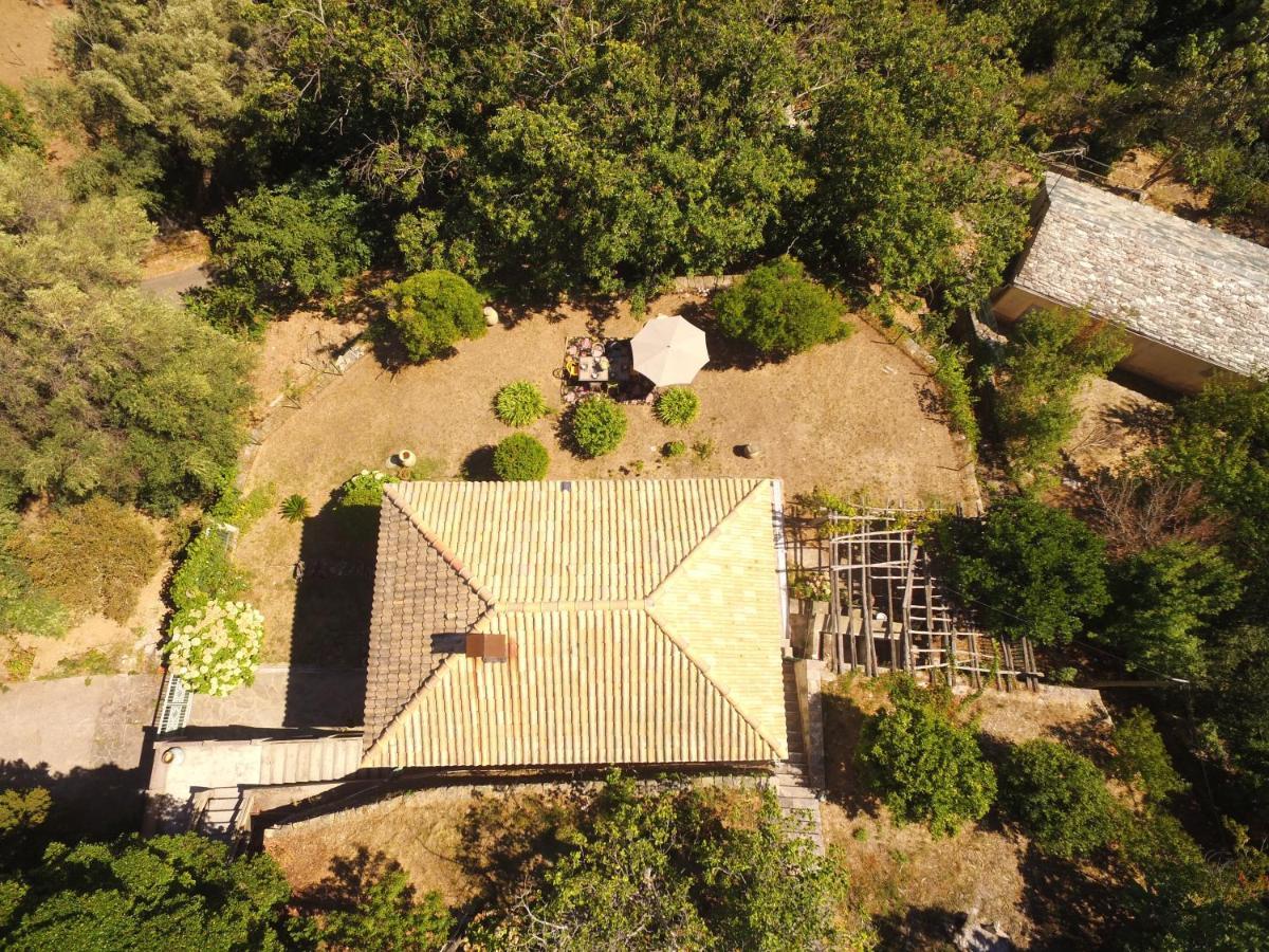 Aroma Green Villa Cagnano Kültér fotó