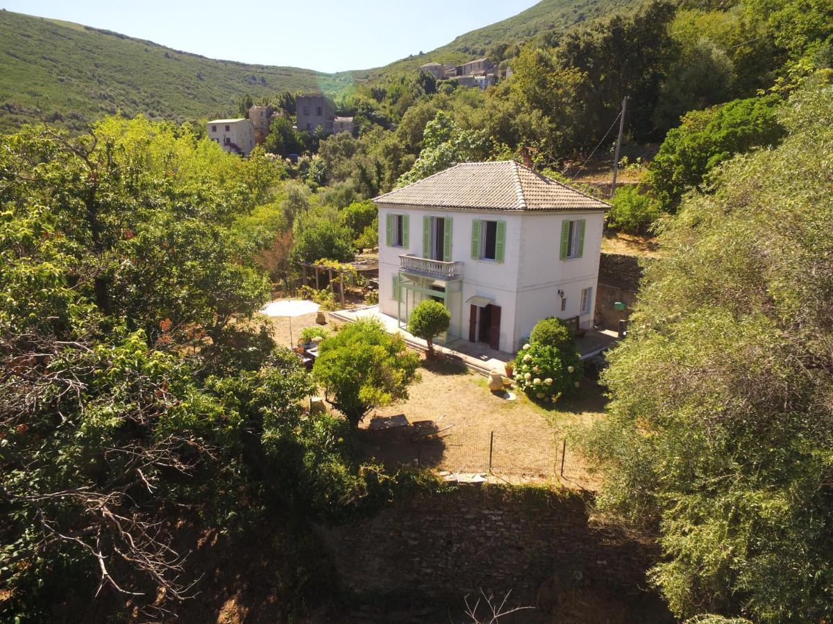 Aroma Green Villa Cagnano Kültér fotó