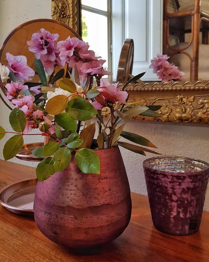 Aroma Green Villa Cagnano Kültér fotó
