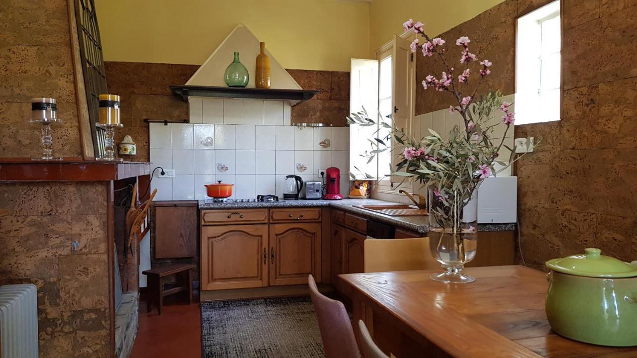 Aroma Green Villa Cagnano Kültér fotó