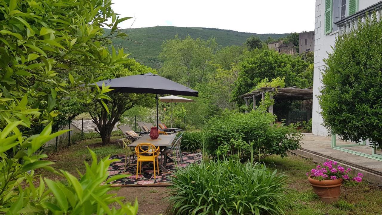 Aroma Green Villa Cagnano Kültér fotó